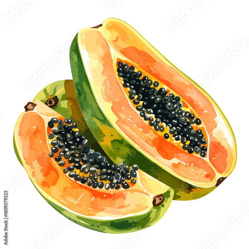 Watercolor Illustration of Two Sliced Papayas with Black Seeds and Orange Flesh