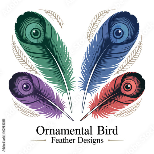 A vector illustration of a set of fluffy bird feathers, plumes, and quills for writing