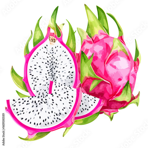 Vibrant watercolor illustration of whole and sliced dragon fruit with bright pink skin, green scales, and white flesh dotted with black seeds.