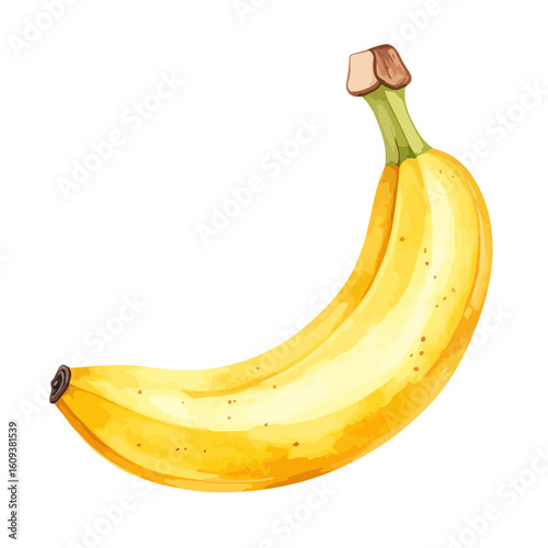 Ripe yellow banana with brown sugar spots and green stem, detailed watercolor style illustration.