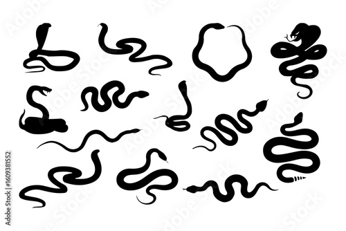 Snake silhouette set. Collection of black snake shapes.