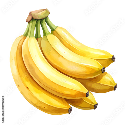A detailed illustration of a ripe bunch of yellow bananas with green stems and a brown stalk.