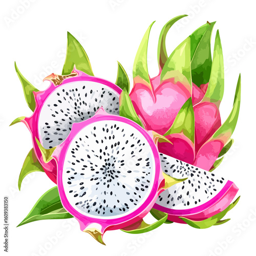Vibrant illustration of whole and sliced pink dragon fruit with white flesh, black seeds, and green leaves.