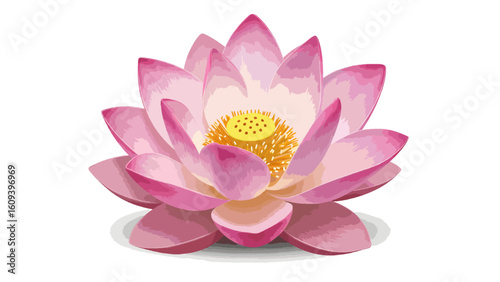Elegant Pink Lotus Flower Blossom A Symbol of Purity and Awakening in Detailed Illustration
