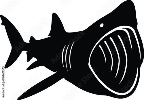 Silhouette great white shark with open mouth showing teeth vector illustrator