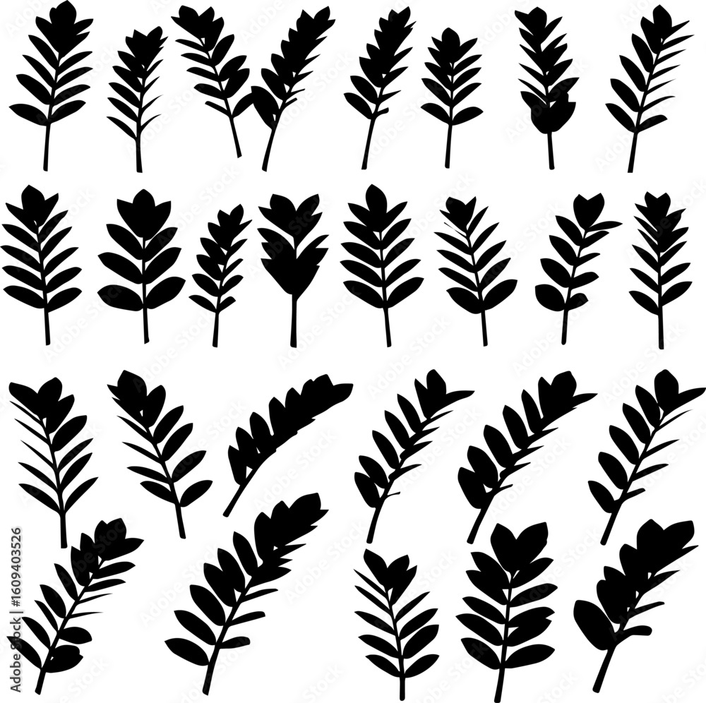 Collection of black silhouette leaf sprigs, various shapes and sizes, botanical illustrations. Collection of black silhouette leaf sprigs, various shapes and sizes, botanical illustrations.