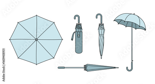 Practical folding and compact umbrellas for everyday weather protection and portability