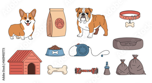 Collection of popular dog accessories and supplies for pets ownership