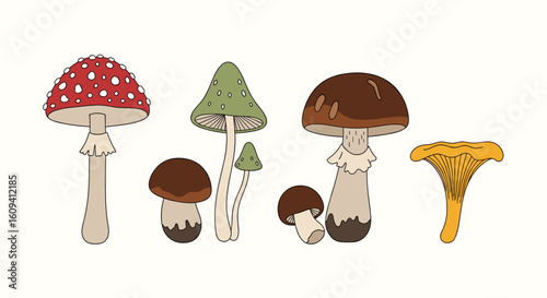 A charming gathering of various wild forest fungi illustrations