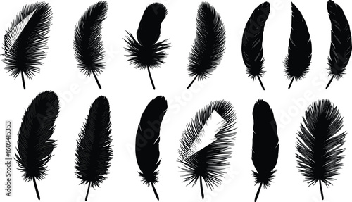 Feather silhouette vector set, realistic bird feather clipart, fluffy plumage icons, natural quill illustrations, black feather design elements