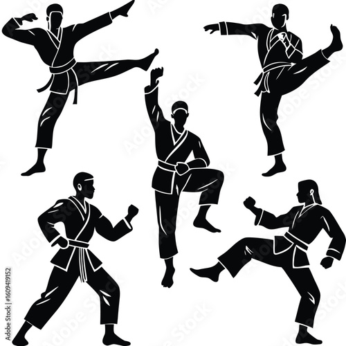 Martial Arts & Combat Sport Silhouettes