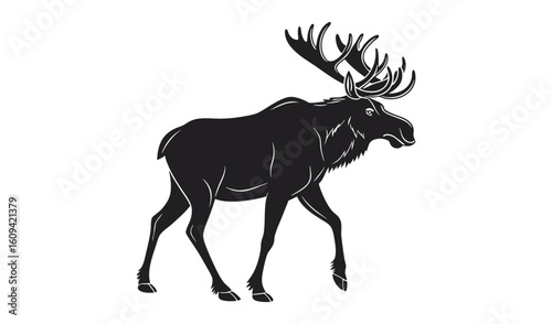 Silhouette of a majestic bull moose with large antlers walking