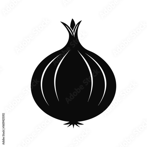 Black and white onion silhouette on White Background 