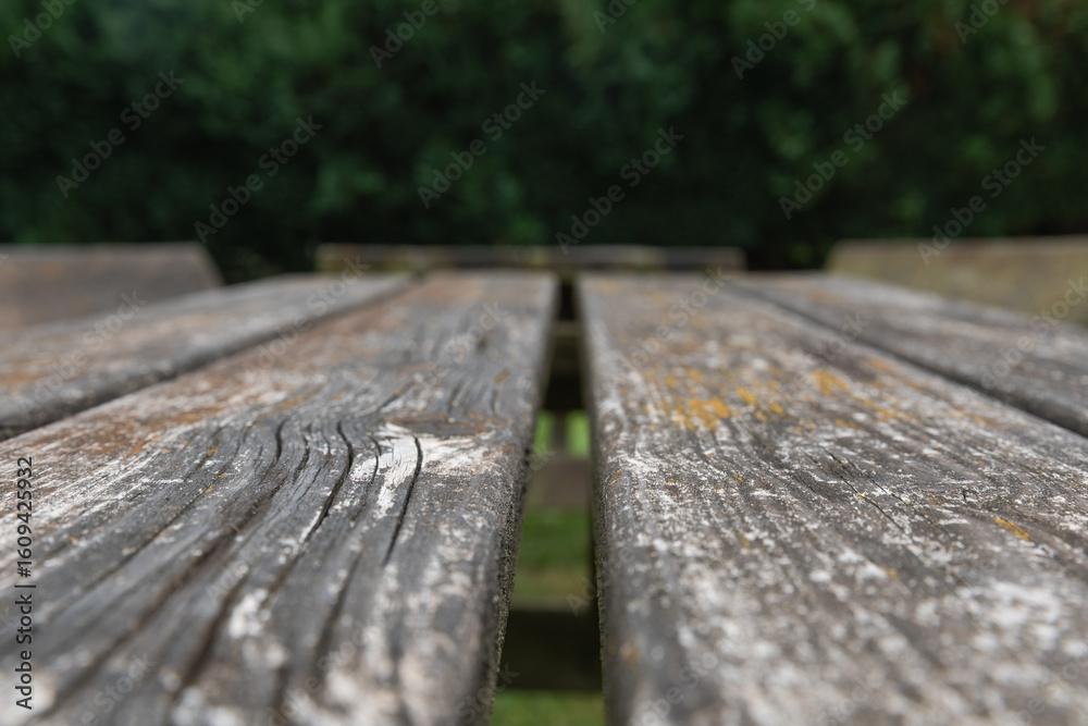Close-up of weathered wooden table outdoors with lichen growth, shallow depth of field, symmetrical composition along the planks, dark green hedge in background Close-up of weathered wooden table outdoors with lichen growth, shallow depth of field, symmetrical composition along the planks, dark green hedge in background