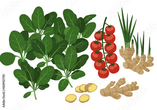 An assortment of fresh produce spinach tomatoes ginger and cut ginger
