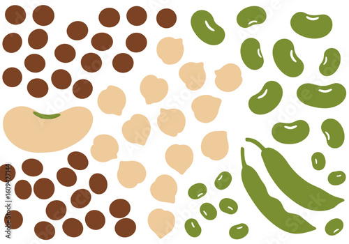 An illustration displays brown lentils large soybeans pale chickpeas and green string beans scattered against a white backdrop