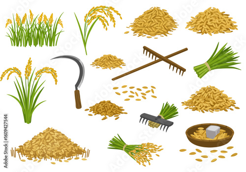 Depicts rice plants grains bundles rake and a sickle