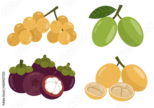 Four fruit collections clusters of yellow fruit pairs of green fruit purple mangosteens and goldenyellow fruit segments