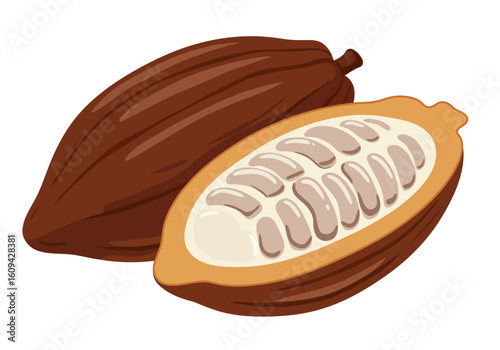 Two cocoa pods one whole and one split open revealing the beans