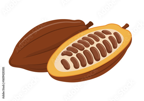 Two cacao pods one cut open to reveal beans in brown and yellow hues