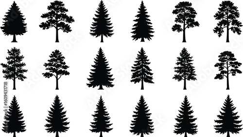 Pine tree silhouette set, fir tree vector, evergreen clipart, coniferous tree illustration, forest tree outlines, black tree icons