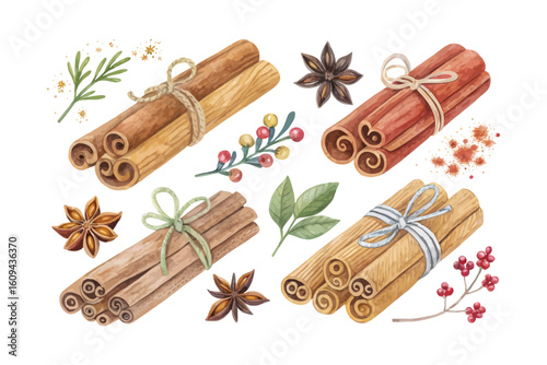 set of watercolor cinnamon stick vector illustration isolated on white background
