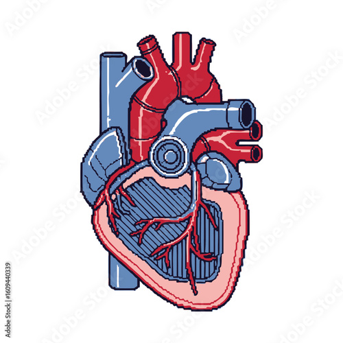 Pixel art illustration of an anatomical human heart with arteries and veins.
