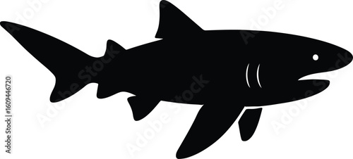 Silhouette shark side view vector illustration