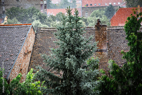 Heavy summer rainstorm hits Osijek