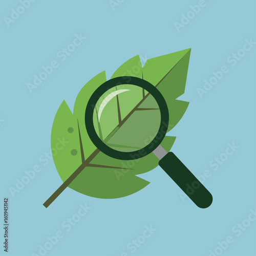 A green leaf is being examined closely with a magnifying glass against a light blue background.