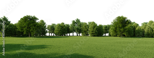 Wallpaper Mural Shadow on green grass and trees Panorama view PNG for Architecture background.3d rendering Torontodigital.ca