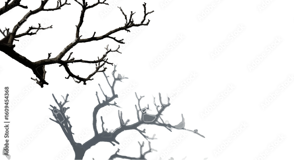 Fototapeta premium Tree branch casting shadow