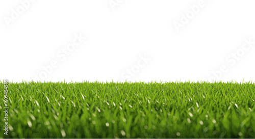 green grass isolated on white