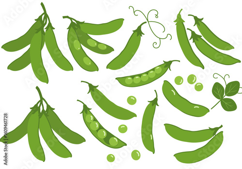 Assorted green peas pods vines  loose peas on white