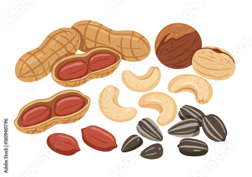 Cartoon illustration shows assortment of nuts seeds with peanuts cashews walnuts pistachios  sunflower seeds