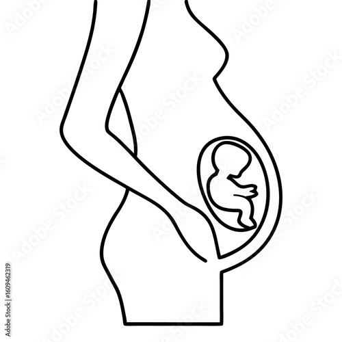 Second Trimester Pregnancy Silhouette Growing Belly Illustration for Maternity and Healthcare Designs