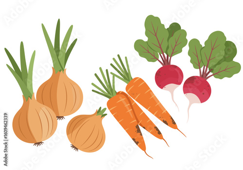 Produce onions carrots and radishes with green leaves arranged on a white background