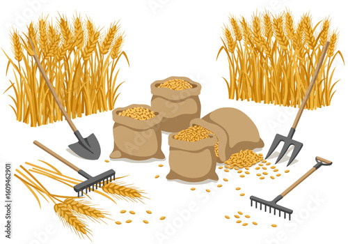 Wheat harvest scene sacks of grain golden wheat stalks tools