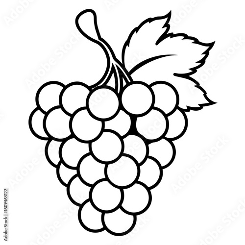 Flat Grapes Cluster on Vine – Clean White Background