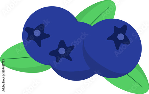 A vector illustration of blueberries.
