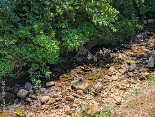 small river is here.