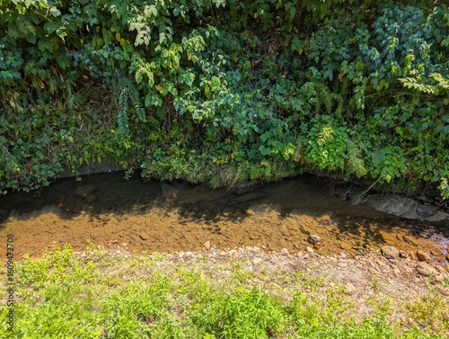 small river is here.