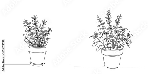 Potted herbs set in line art style on transparent background 