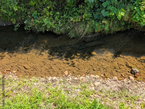 small river is here.