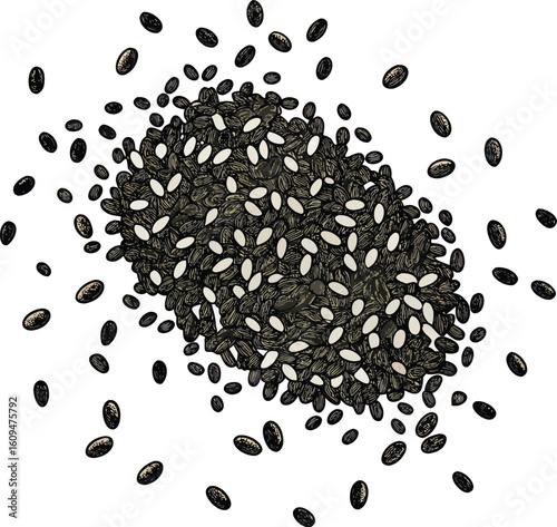 Scattered chia seeds on white background vector illustration