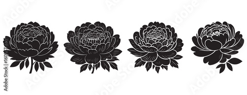 Peony Flower Silhouette Vector Set, Chrysanthemum Flower Silhouette 3