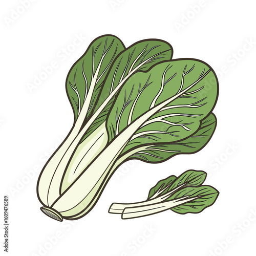 celery isolated on white