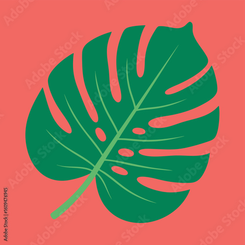 Vibrant Green Monstera Leaf with Coral Background.