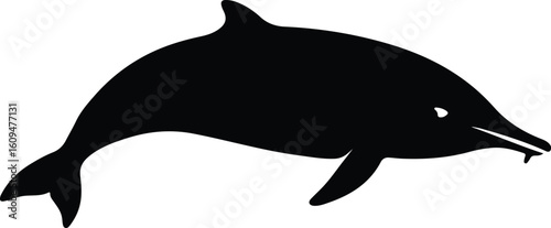 Silhouette dolphin swimming marine mammal ocean wildlife vector illustrator