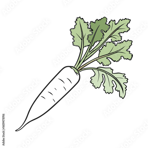 vector illustration of a carrot